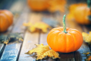 Autumn pumpkin background