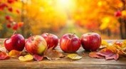 table of apples with fall scenery behind